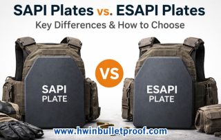 SAPI Plates vs. ESAPI Plates