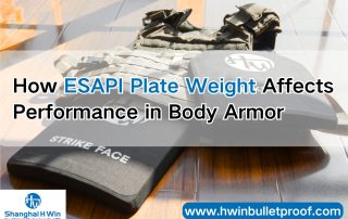 ESAPI Plate Weight