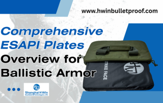 esapi plates overview