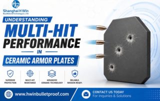 Understanding Multi-Hit Performance